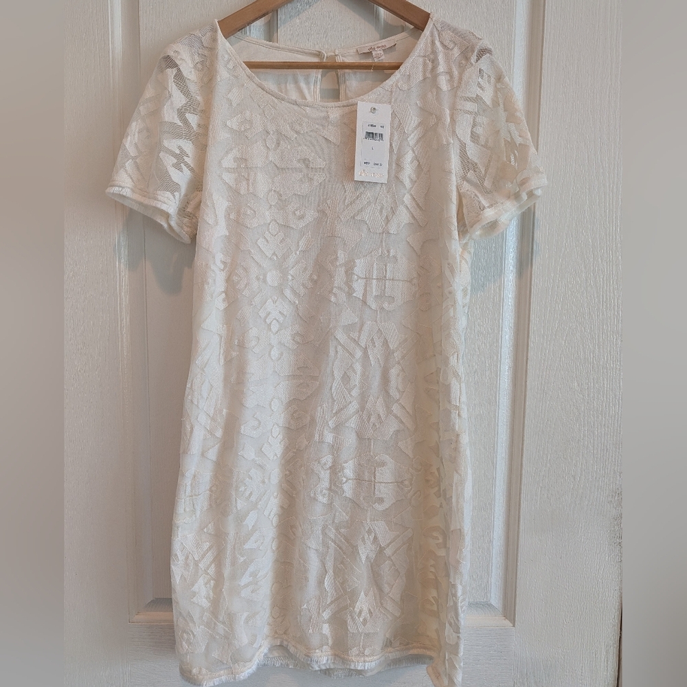 NWT- Ella Moss Cream Lace Mini Shift Dress